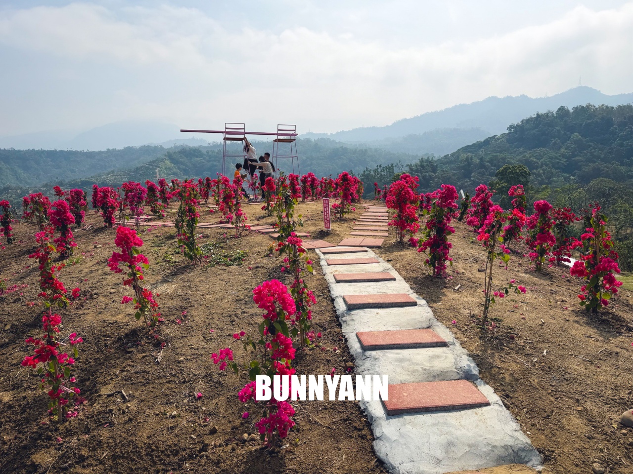 你應該不知道的森林山丘，200元入園就能待半天，花海湖畔美景全都有