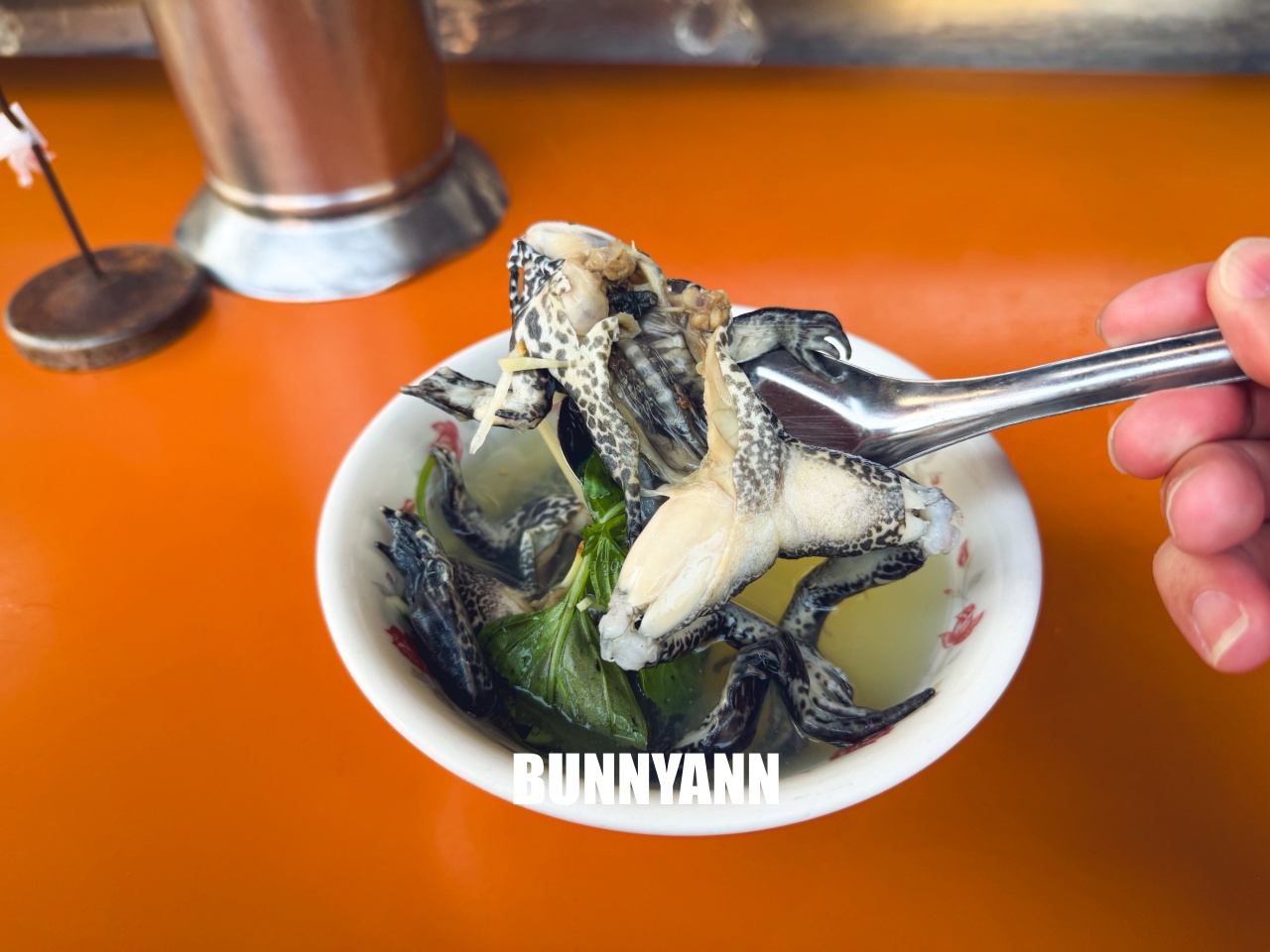北港【圓環紅燒青蛙湯】清晨五點半營業小吃店，青蛙和蚵仔煎每樣都好吃!