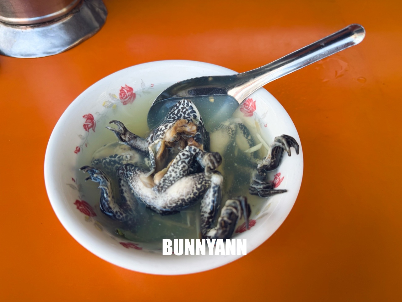 北港【圓環紅燒青蛙湯】清晨五點半營業小吃店，青蛙和蚵仔煎每樣都好吃!