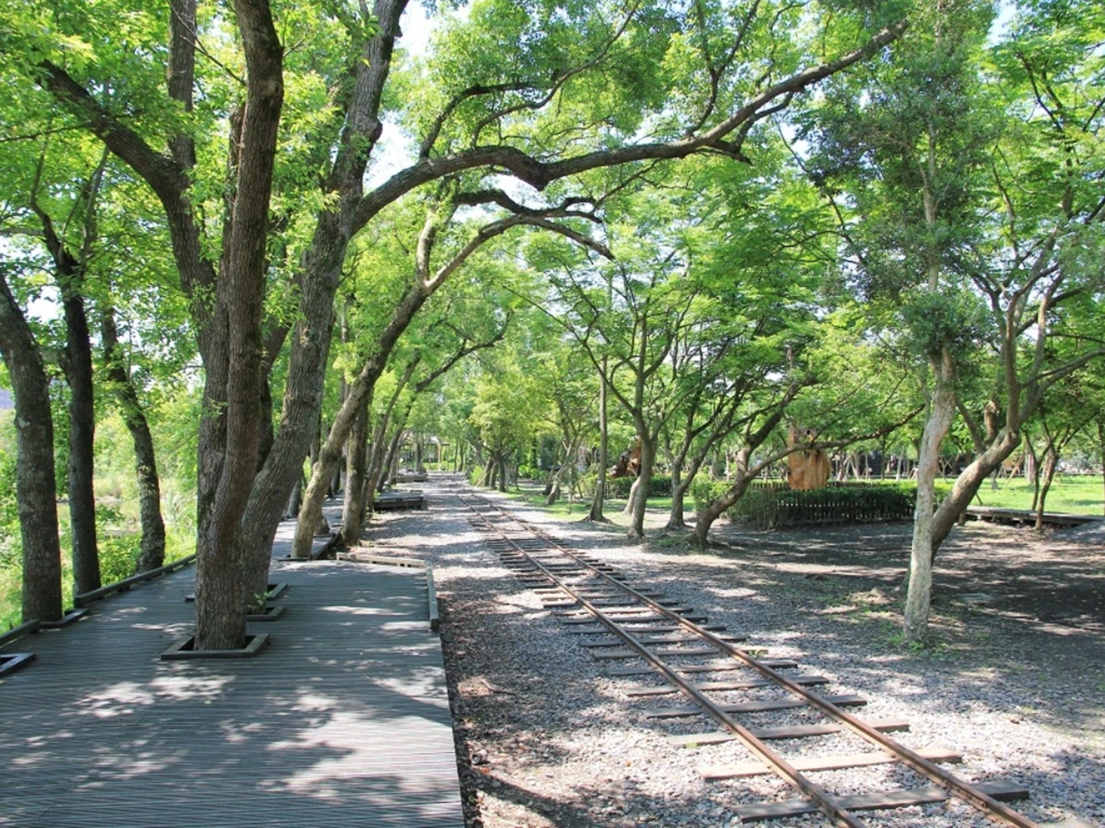 羅東林業文化園區