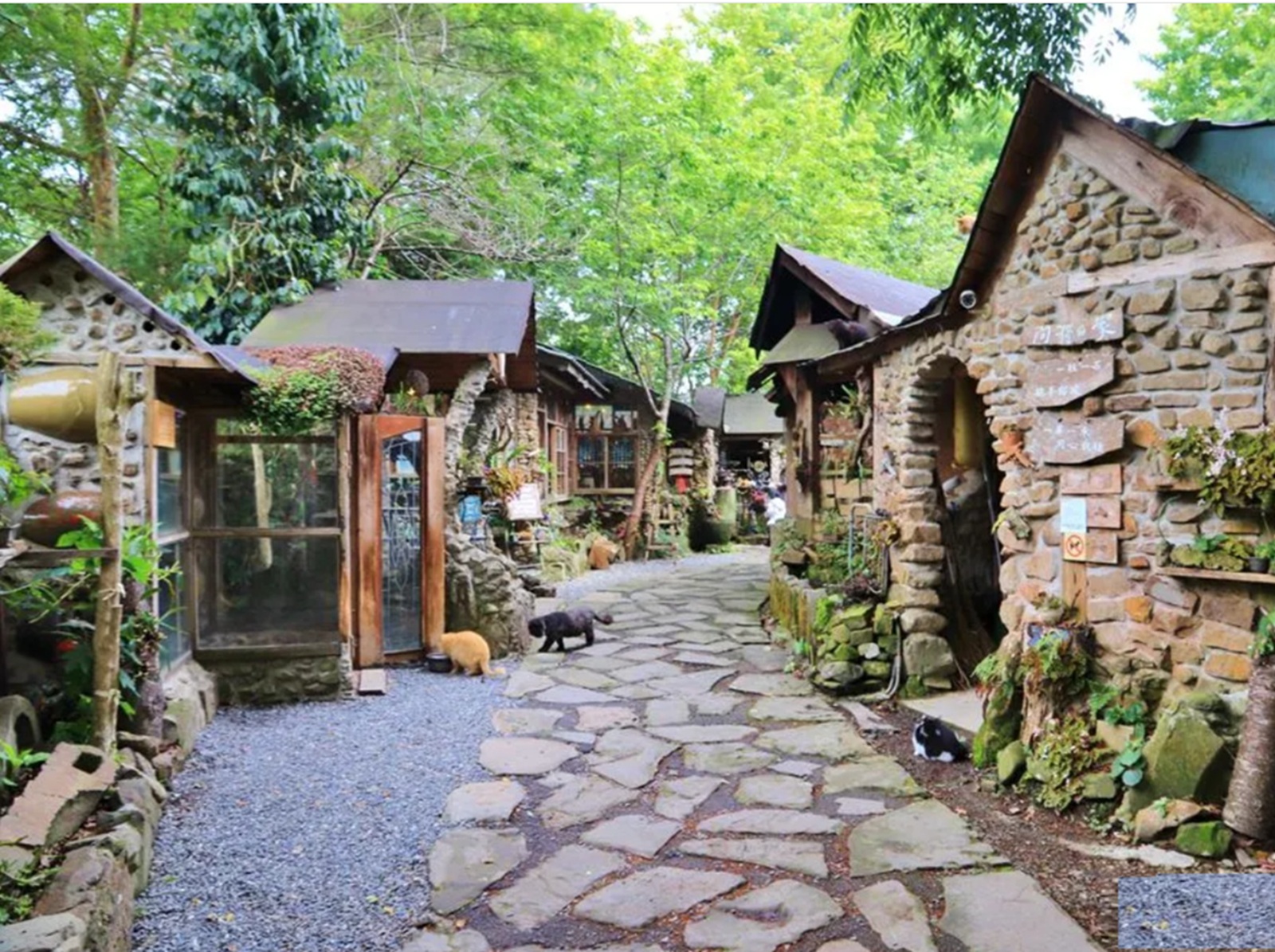 嘉義【阿將的家23咖啡館】週二跟六公休的咖啡店，石頭屋、咖啡和景色每樣都精彩！