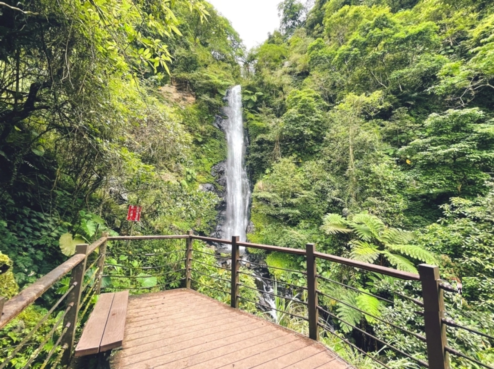 宜蘭【舊寮瀑布】來回40分鐘森林瀑布步道，親近大自然最佳地點