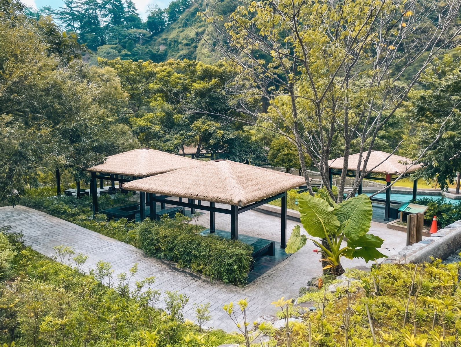 2026【八仙山國家森林遊樂區】自然系的景點，登山步道和戲水池每樣都好玩