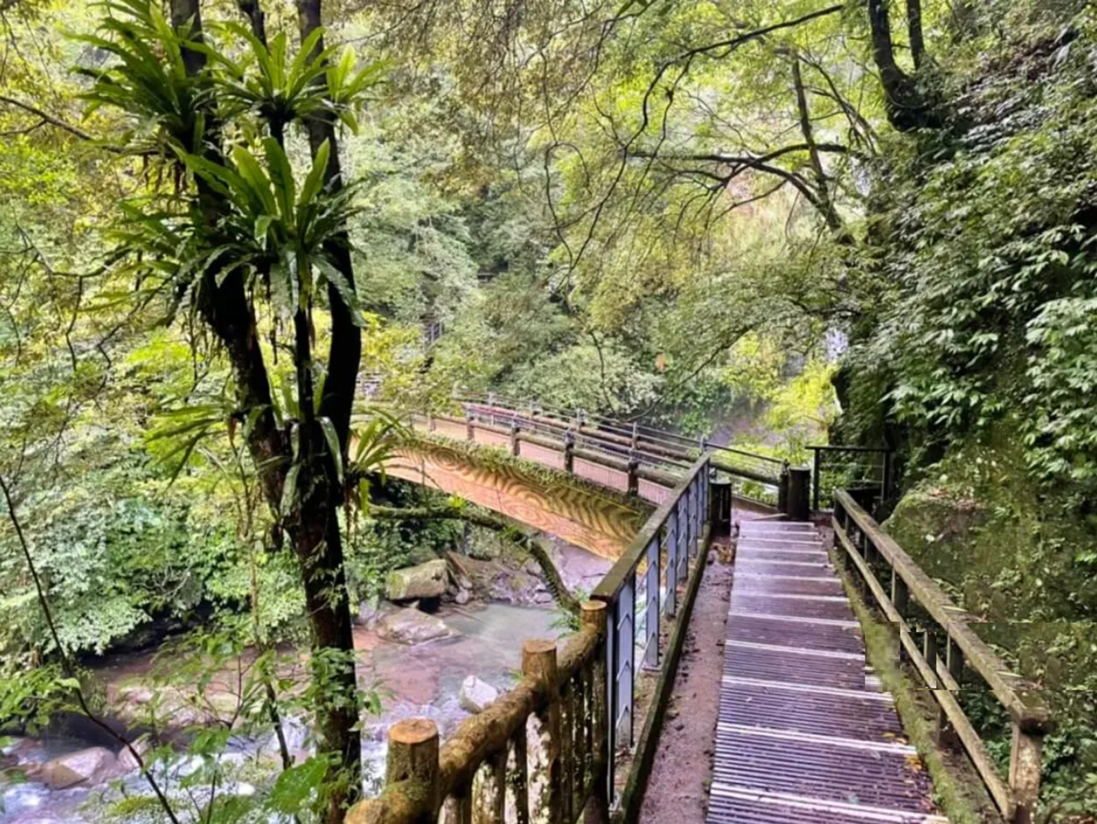 新北【滿月圓國家森林遊樂區】兩小時走完的步道，瀑布、生態館和步道每個都值得到訪