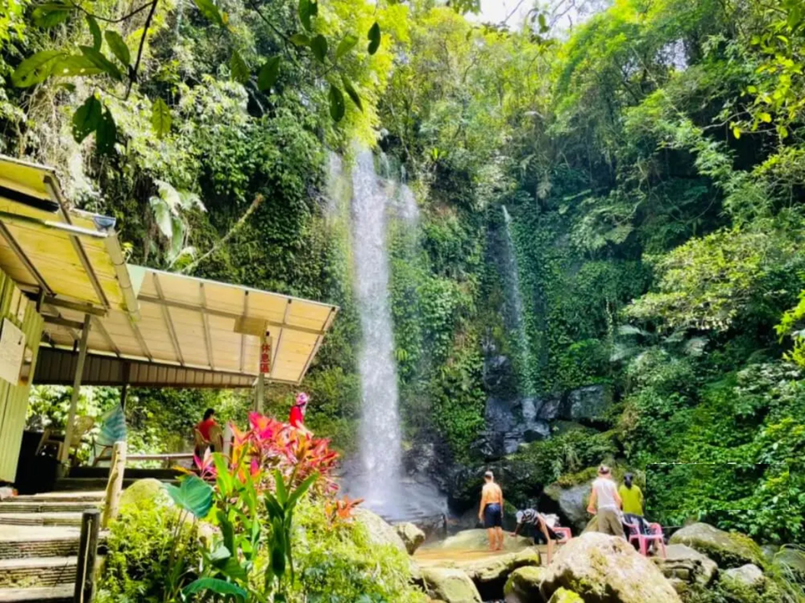 新北【炮子崙瀑布】從入口只要走15分鐘就能夠抵達觀瀑平台