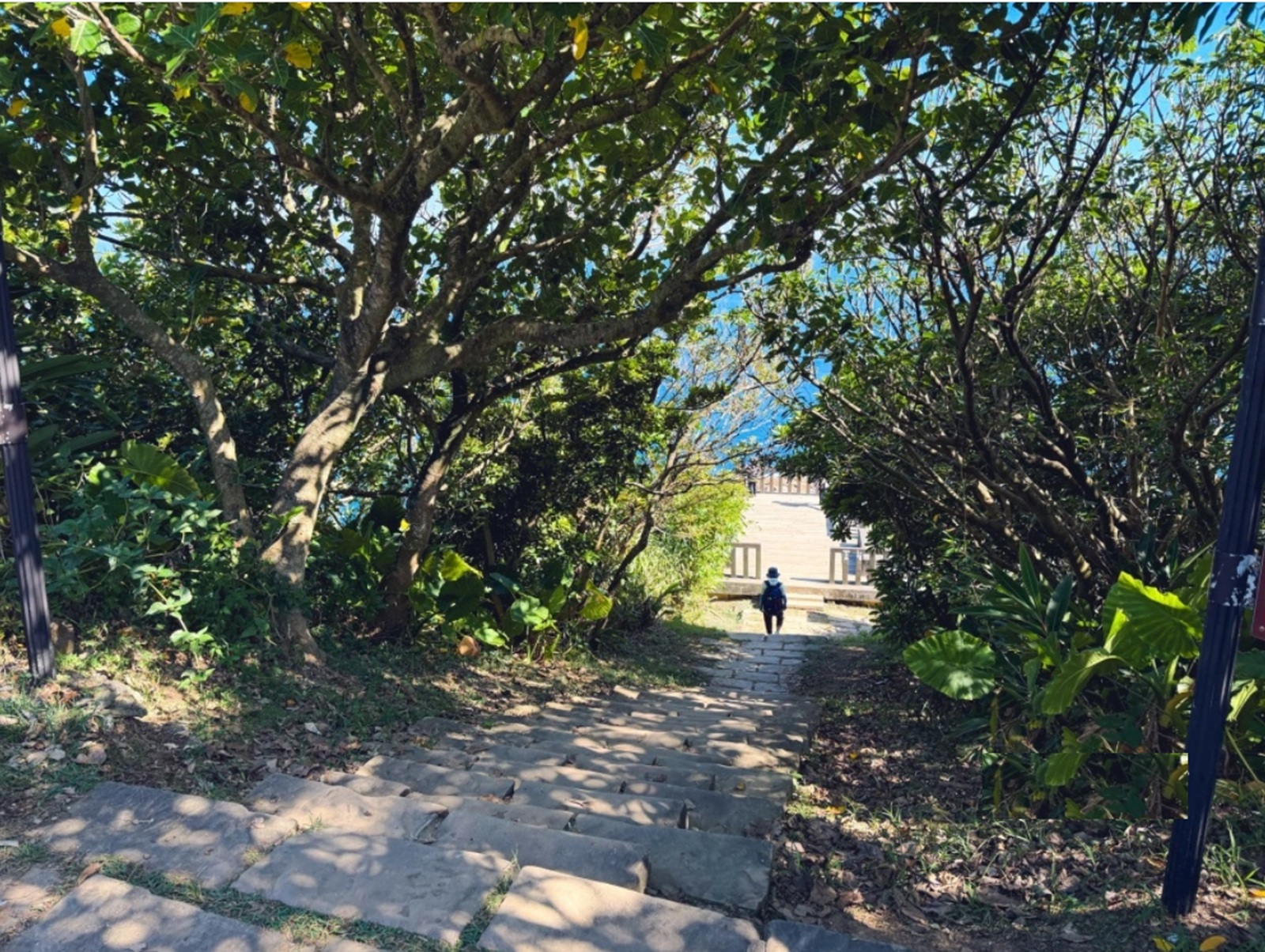 新北市【龍洞灣岬步道】來回往返不用一小時，輕鬆欣賞壯麗海岸景色