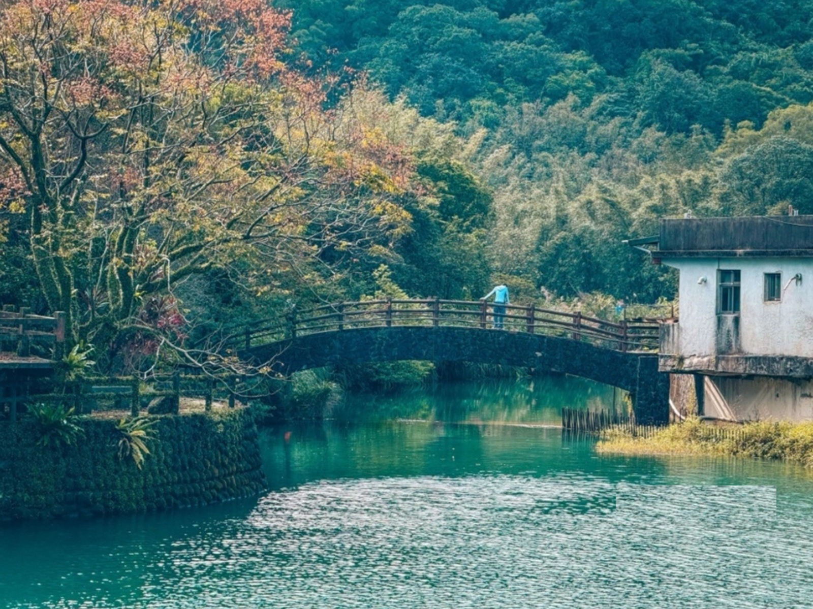 新北萬里區【鏡湖】繞一圈不用15分鐘輕鬆就能賞靜謐的湖景