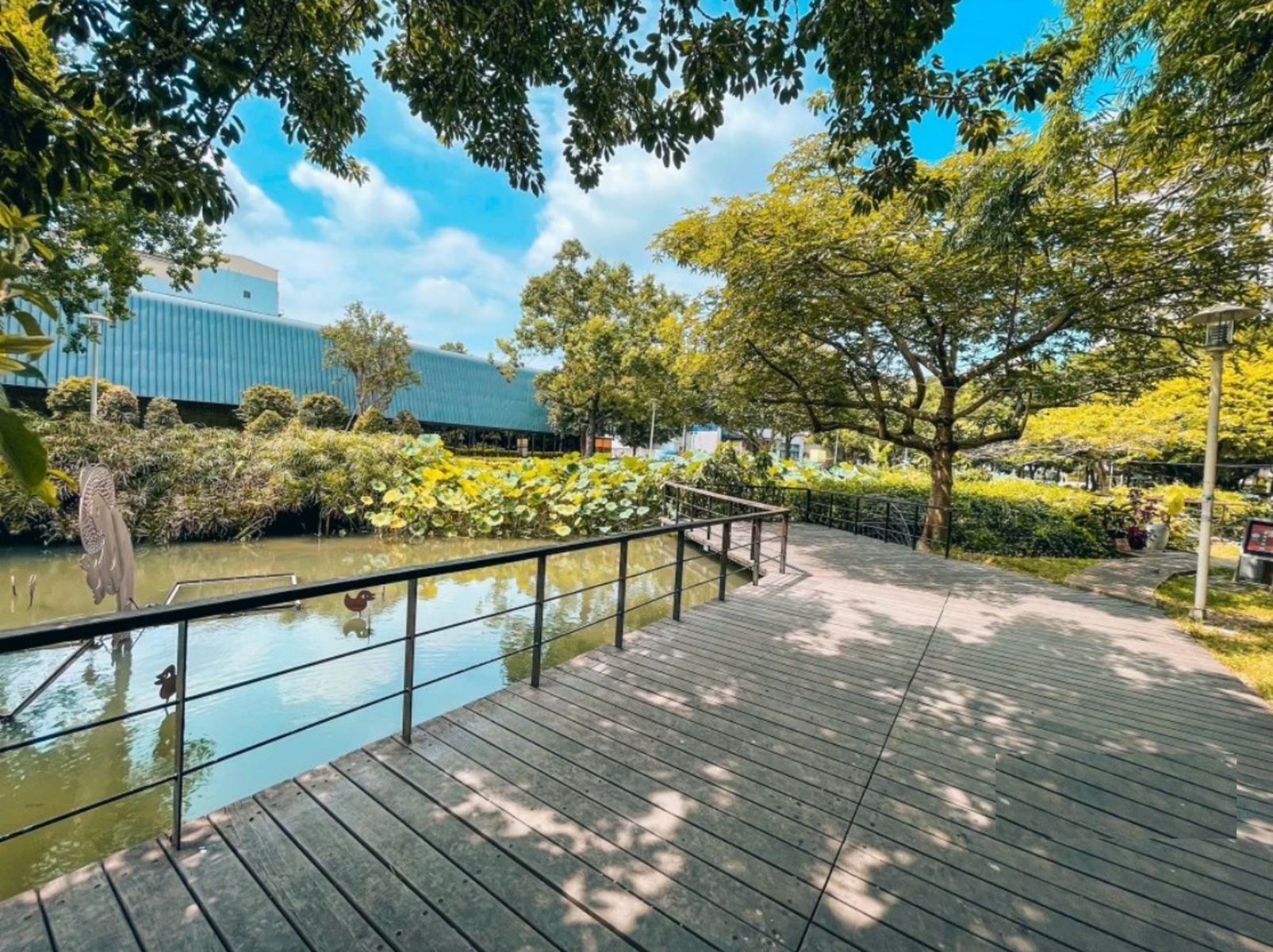 新竹【新瓦屋客家文化保存區】假日市集與免費書屋半日遊安排