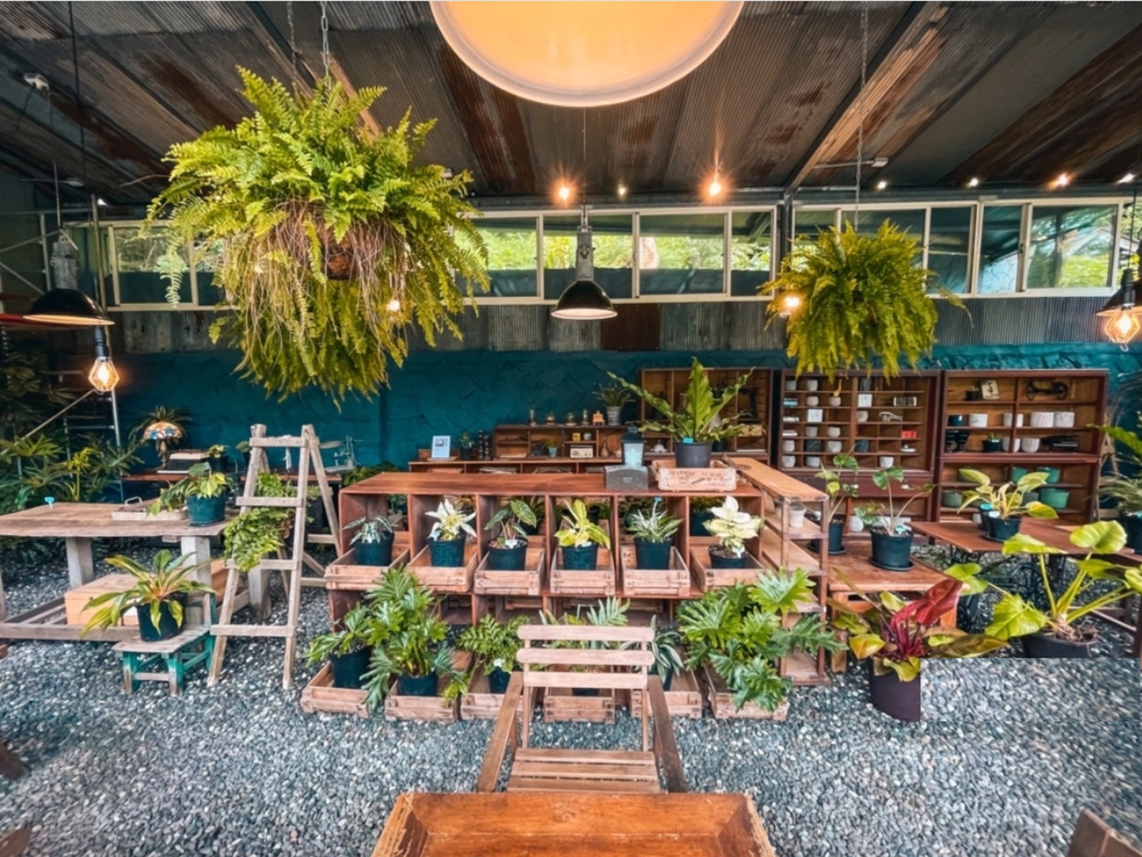 野人花園｜陽明山上的森林系咖啡廳，療癒又好拍