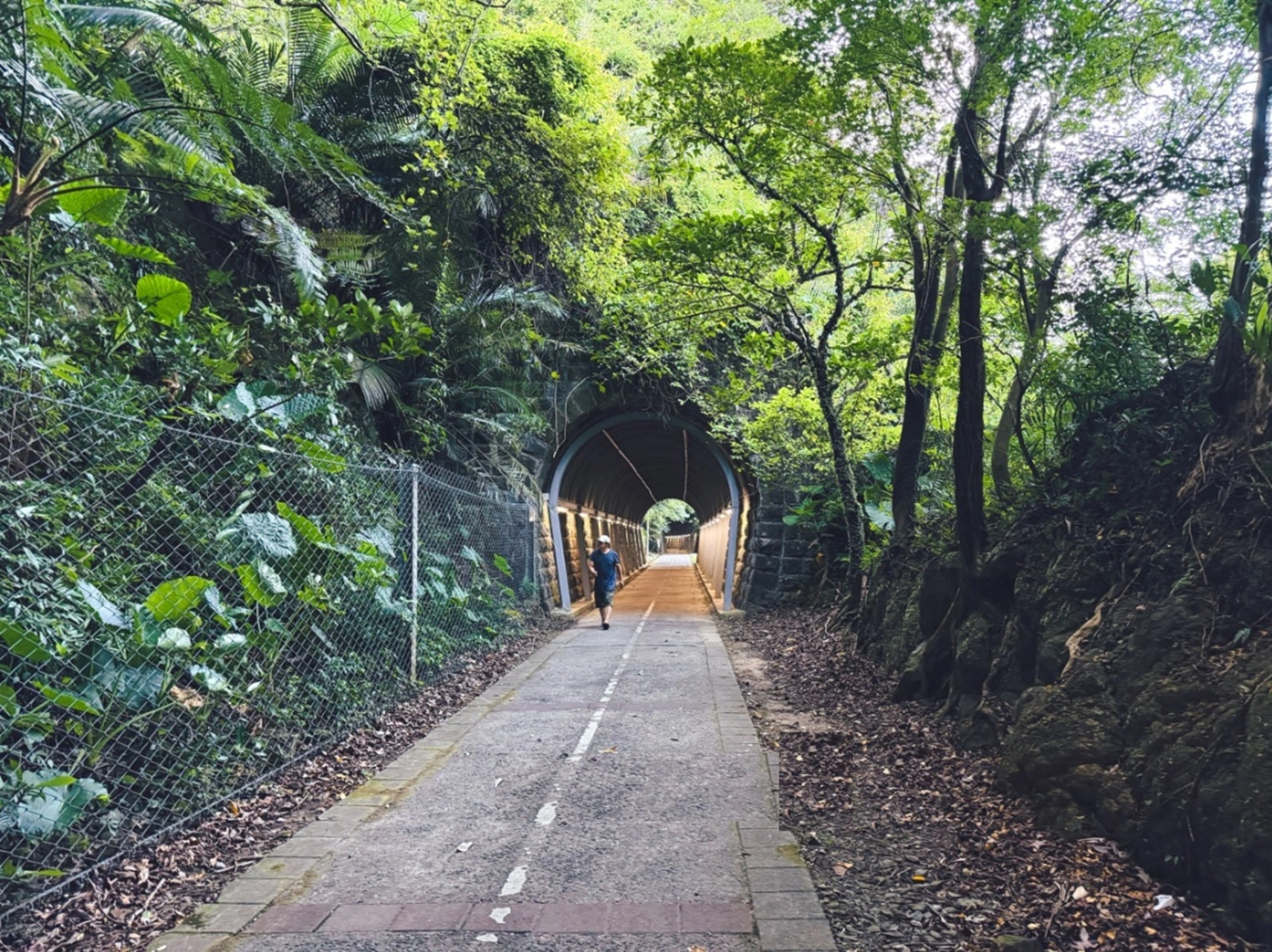 雖然知名度不高，卻是舊火車山洞步道，來回一小時走完，也有火車能拍照