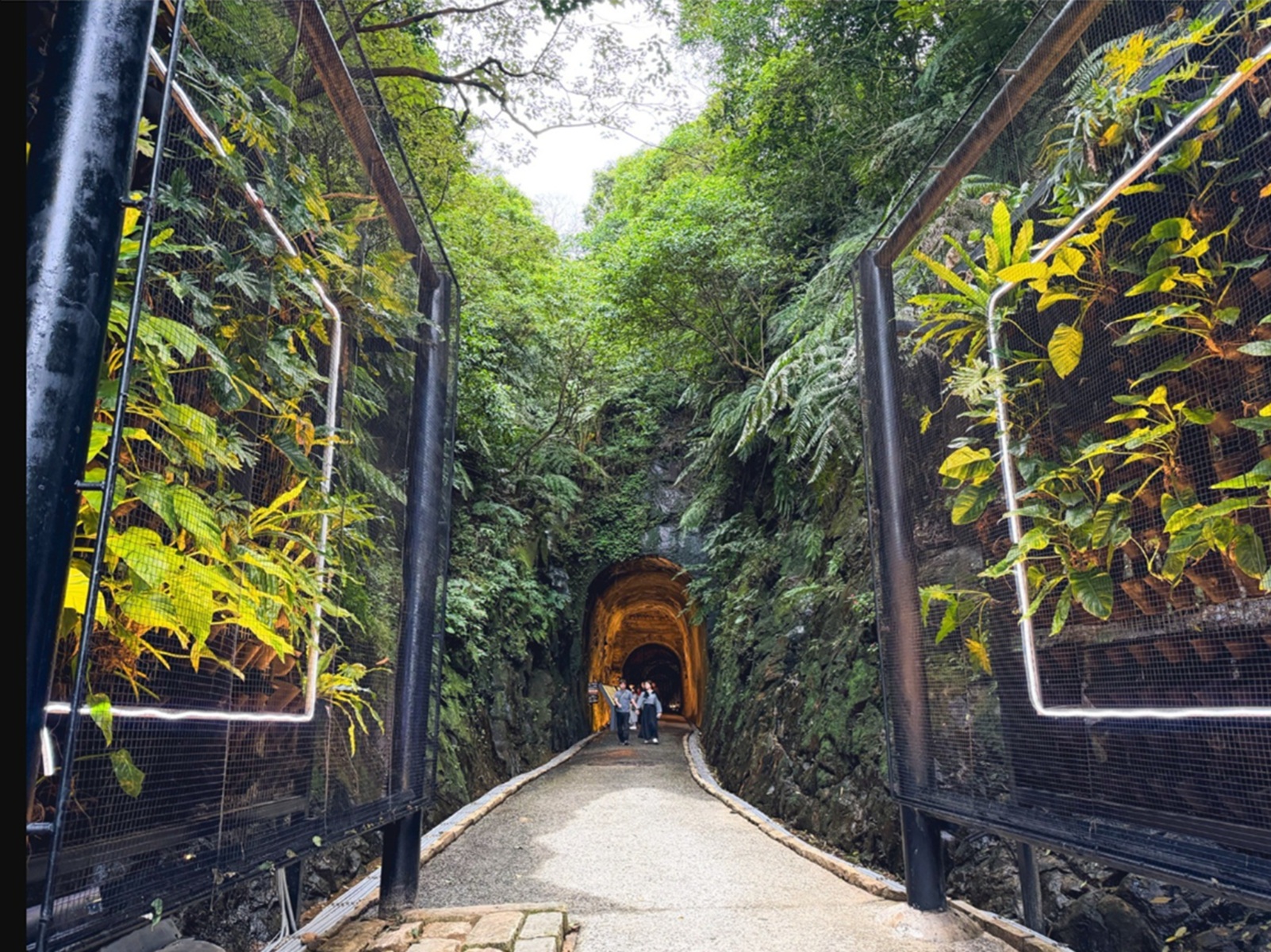 你應該不知道的鐵路隧道，免費入園就能走半天，隧道森林美景全都有