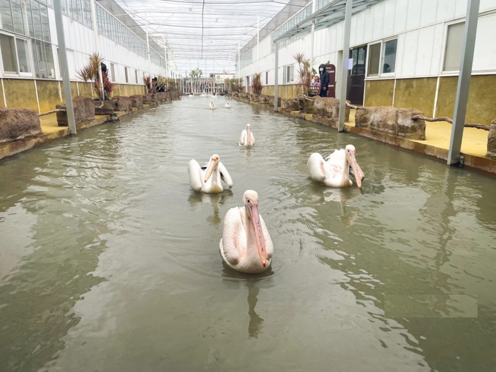 蘭陽動植物王國