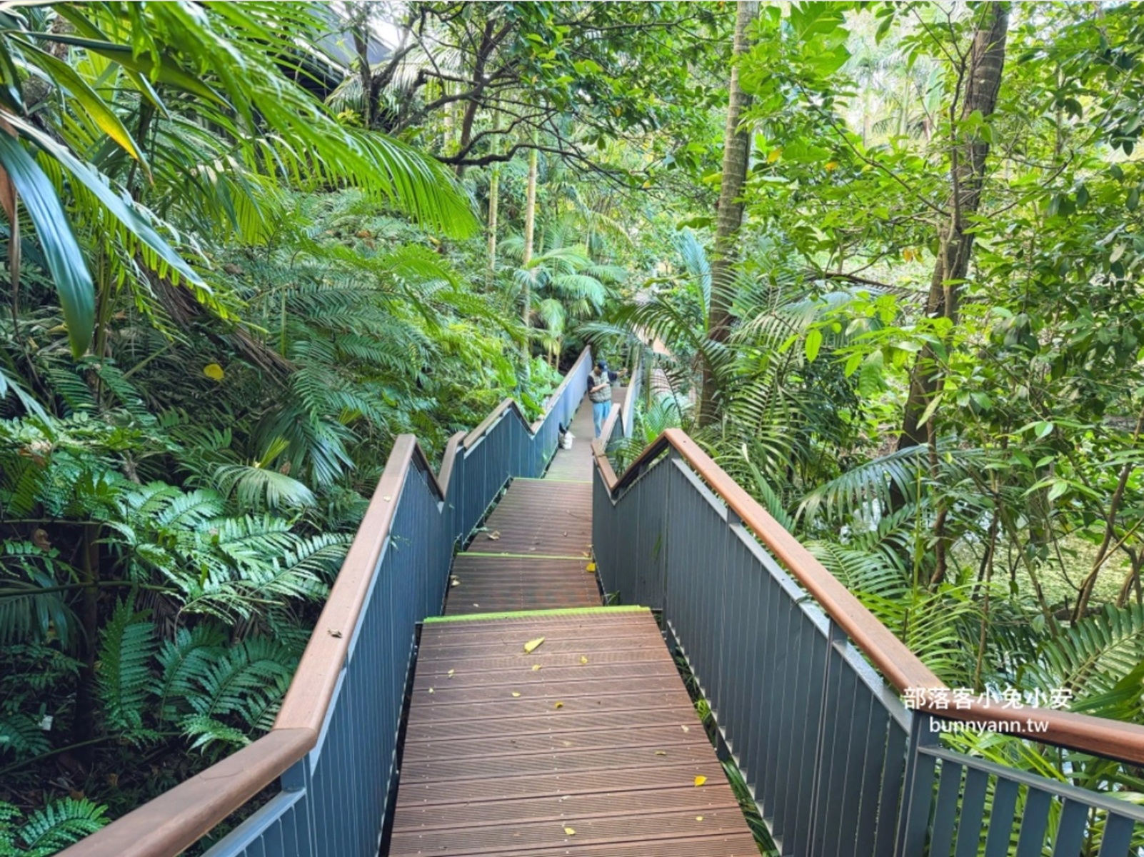 台北木柵公園生態園區