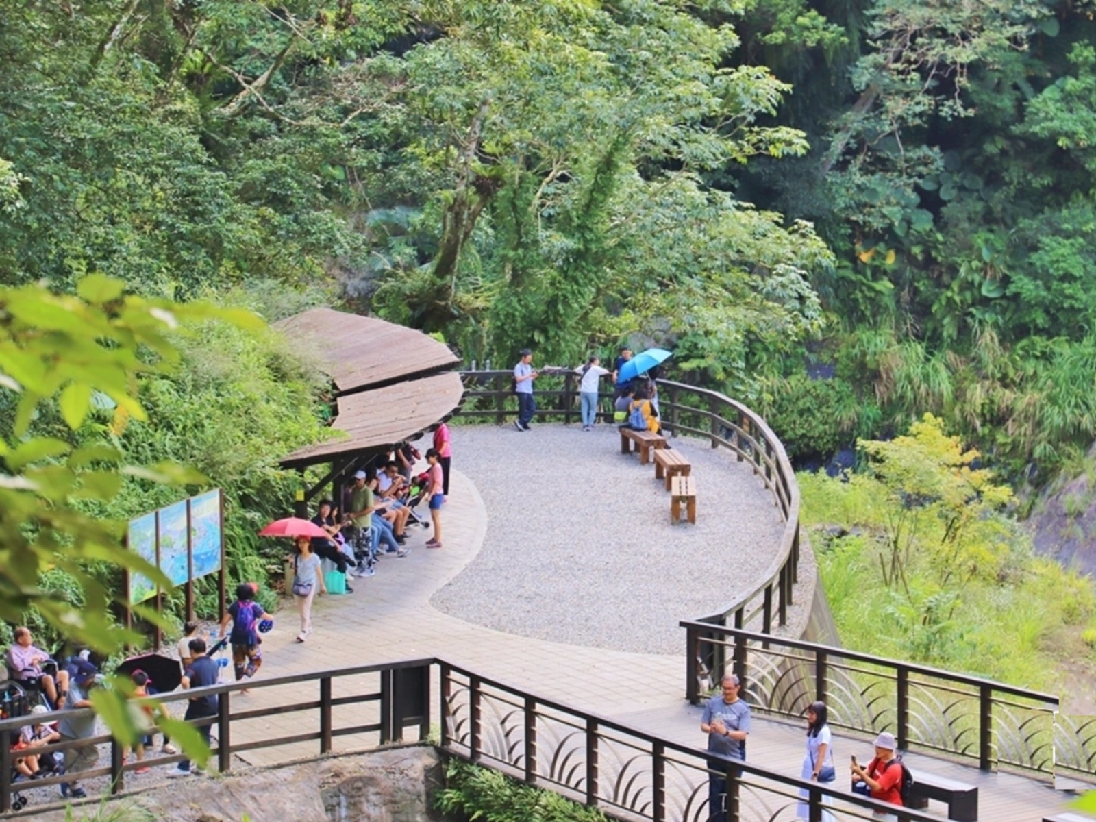 新北【內洞國家森林遊樂區】來回不用兩小時輕鬆就能賞瀑布的森林園區