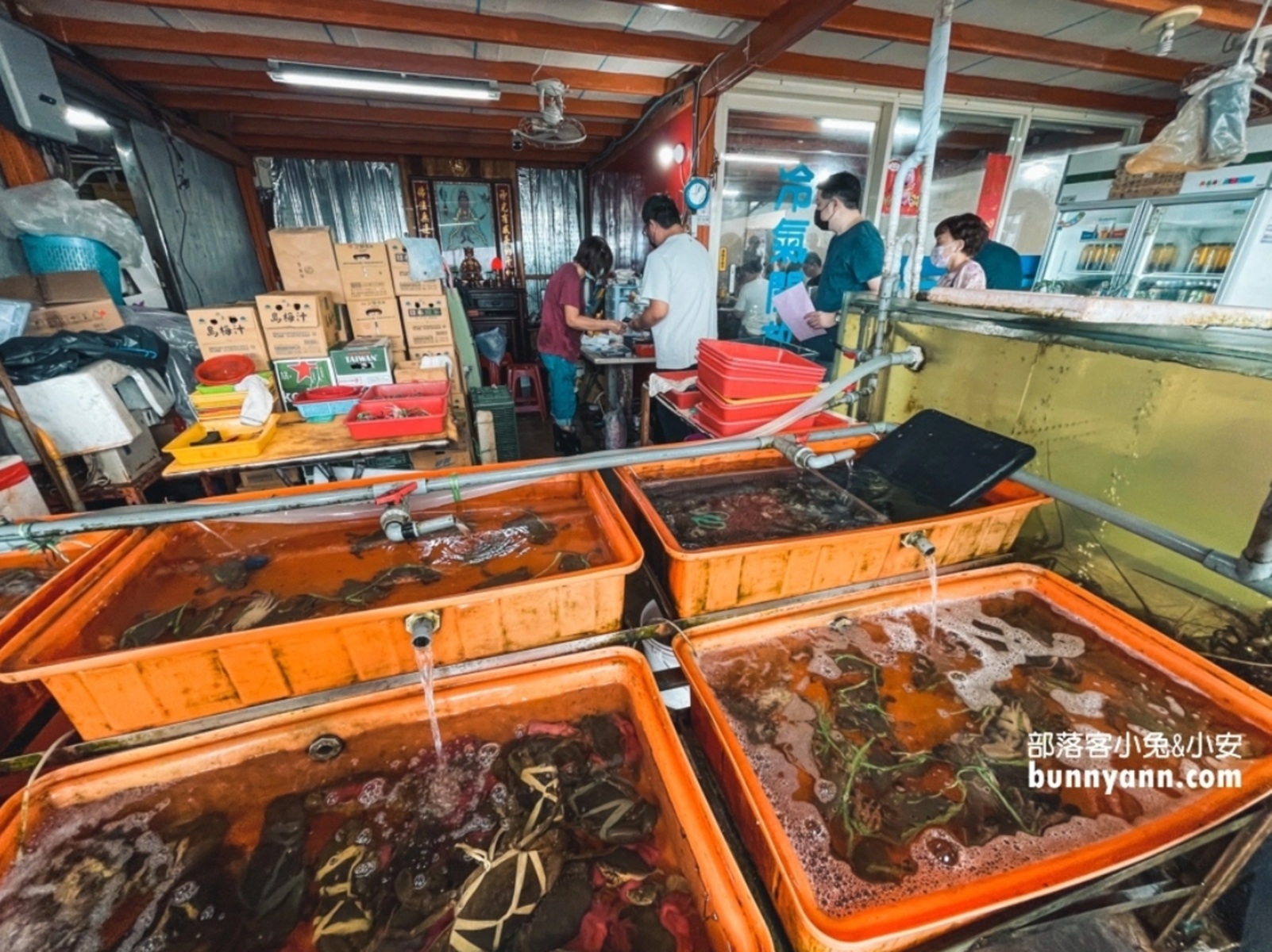 【阿嬌萬里蟹】不分平日假日吃螃蟹都要等兩個小時