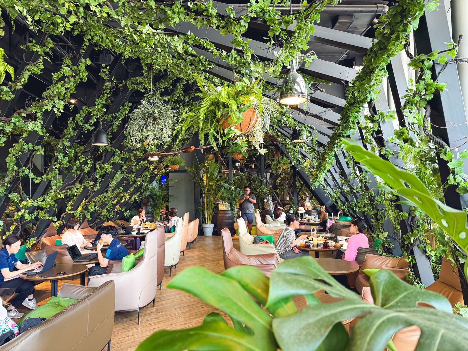 來過的人不多，是叢林咖啡店家，低消一杯飲料能待半天，波士頓派也是招牌主打
