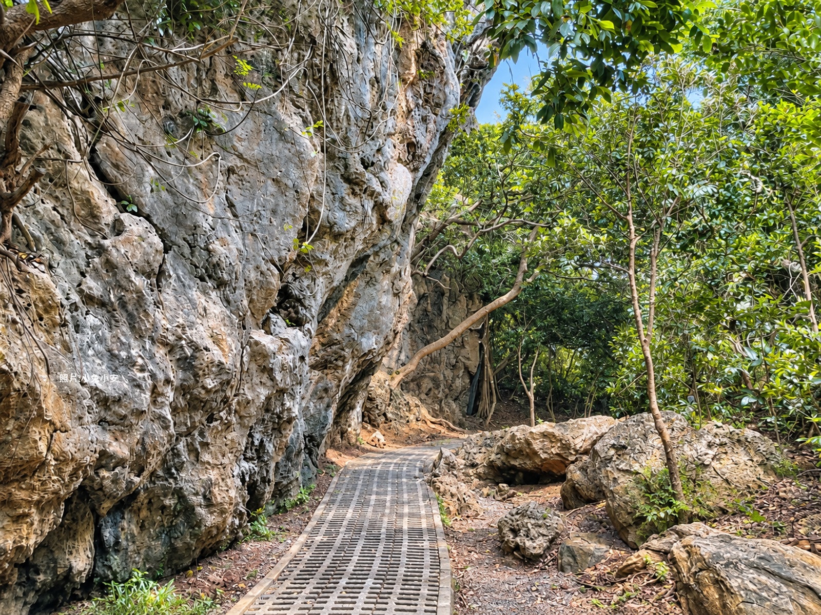 社頂自然公園
