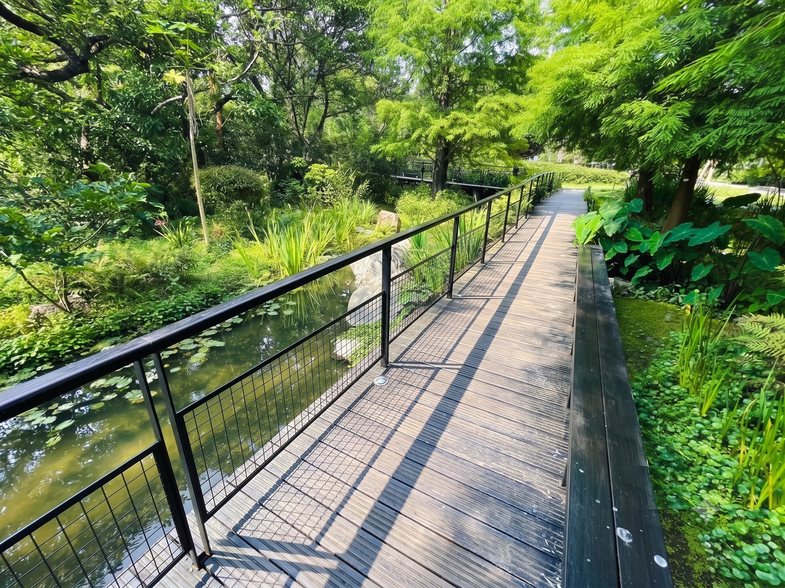 大安森林公園