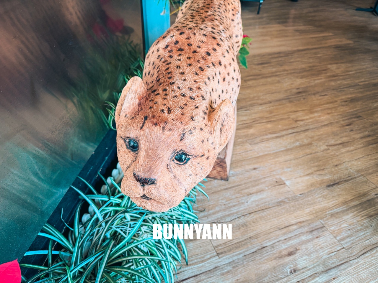 來過的人不多，是叢林咖啡店家，低消一杯飲料能待半天，波士頓派也是招牌主打