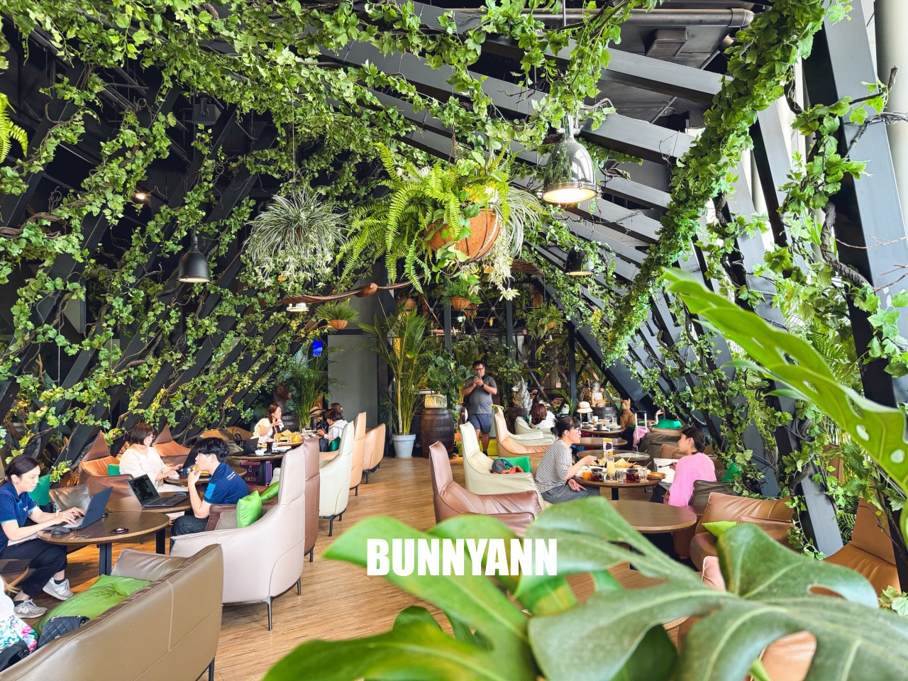 來過的人不多，是叢林咖啡店家，低消一杯飲料能待半天，波士頓派也是招牌主打