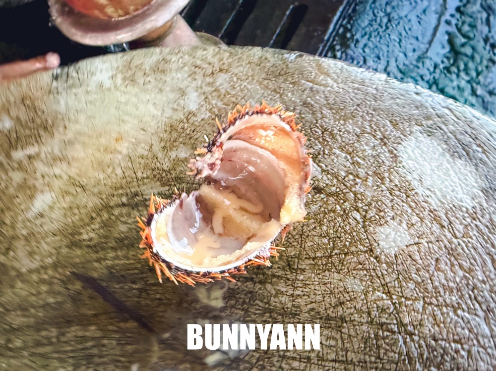 原本漁港走走，結果是現撈海膽店家，點一顆超級鮮，河豚體驗也好玩