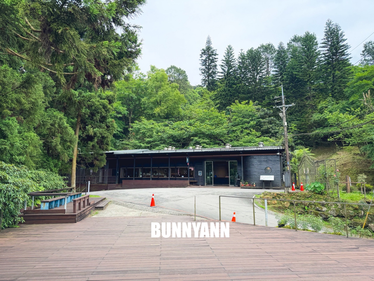 禾煦熊空休閒農場｜遠的要命山頂茶園咖啡館路況資訊總整理