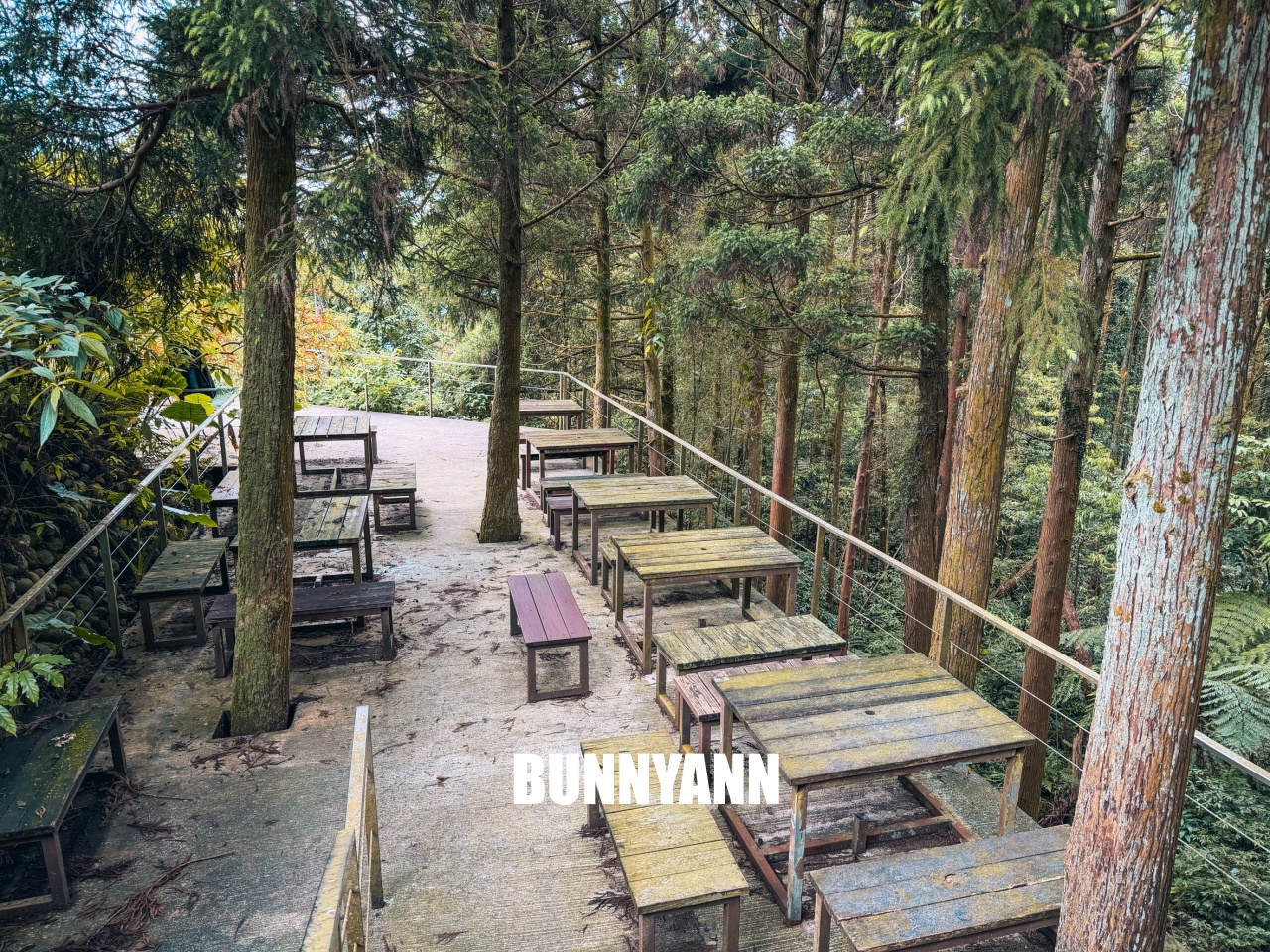 禾煦熊空休閒農場｜遠的要命山頂茶園咖啡館路況資訊總整理