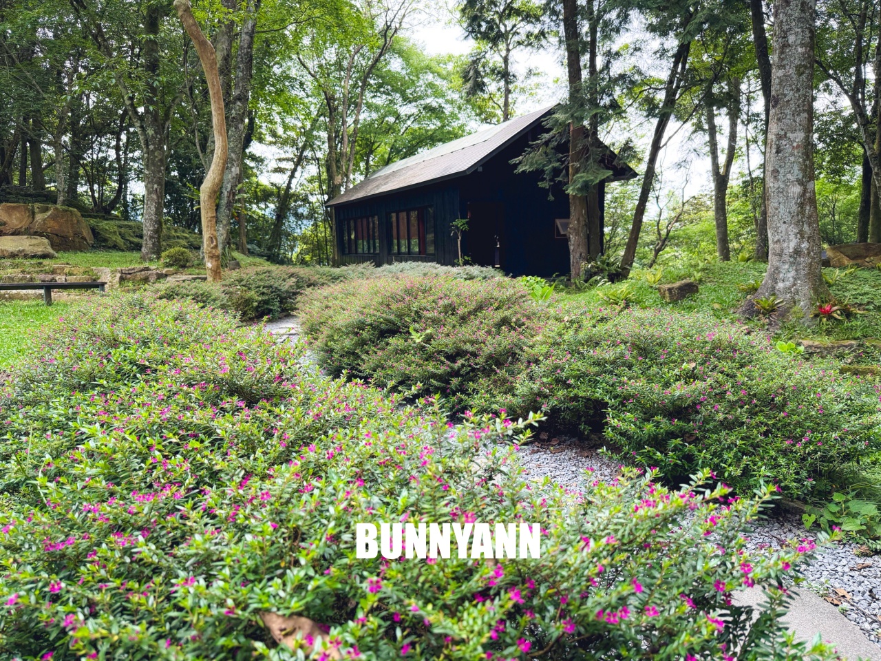 禾煦熊空休閒農場｜遠的要命山頂茶園咖啡館路況資訊總整理