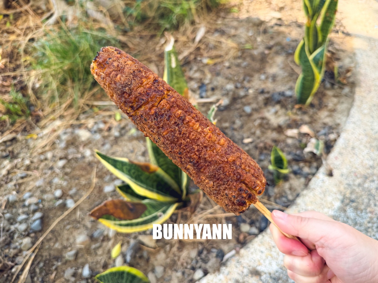 東區廟口鎮天宮古早味烤玉米，點個一隻就夠解膩，刷多層醬是特色