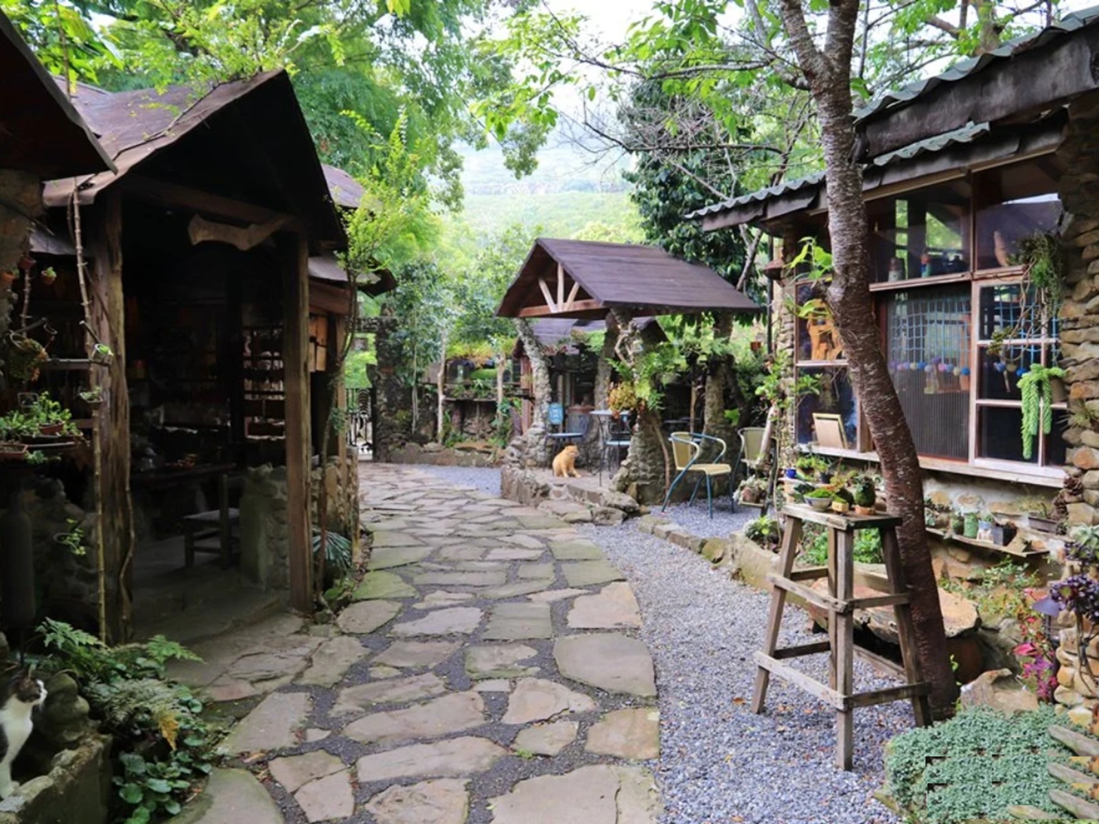 阿將的家23咖啡館