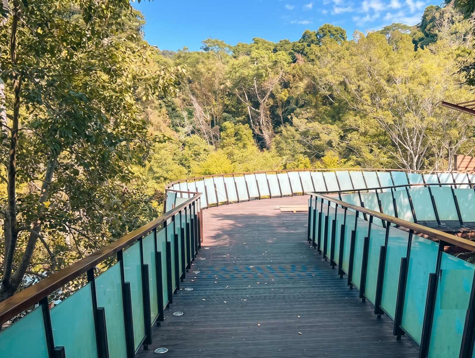 只有山友知道，是自然教育生態園，免費參觀景觀台，樹木銀行是主打