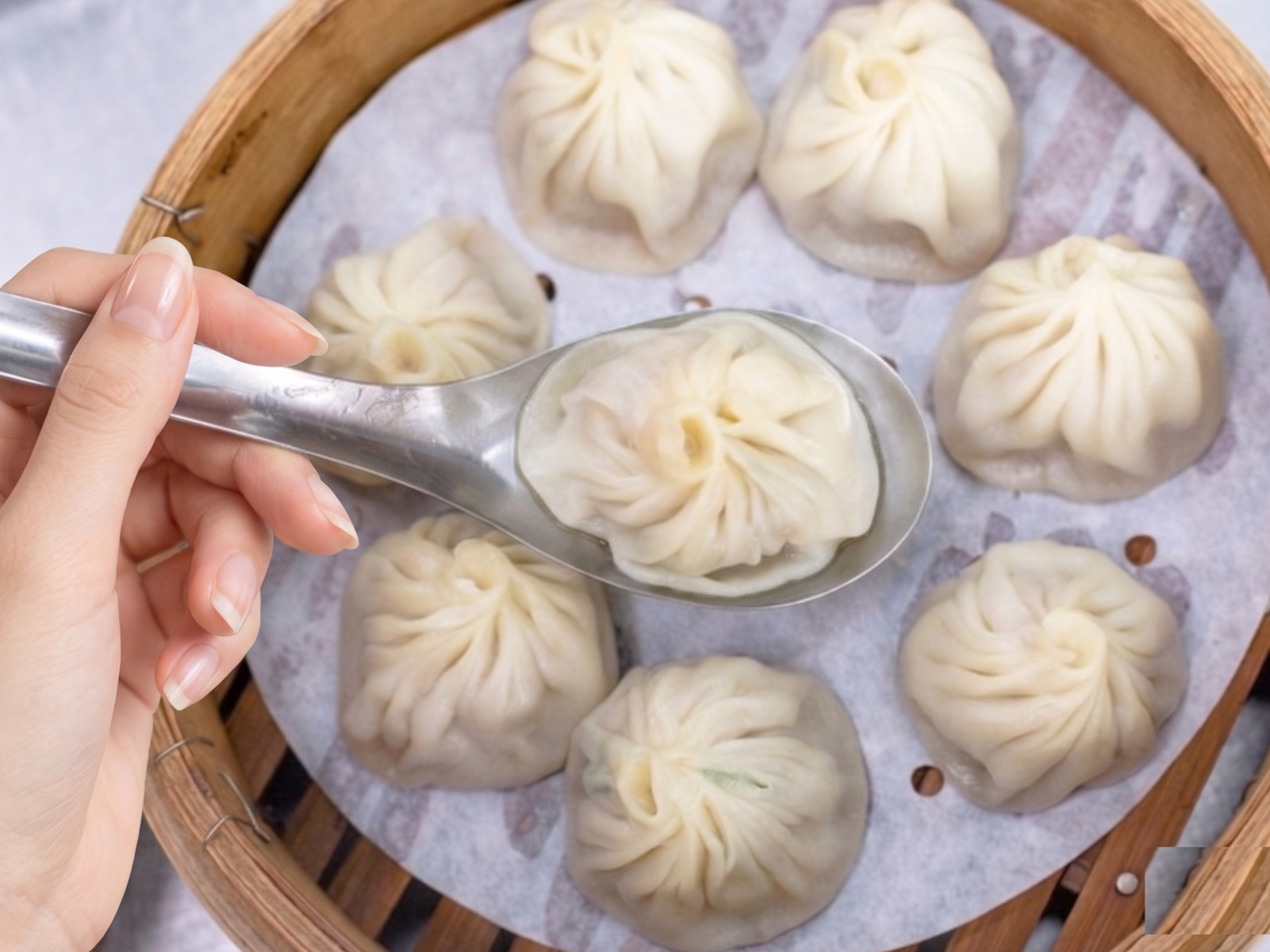 豆豆小籠湯包蒸餃