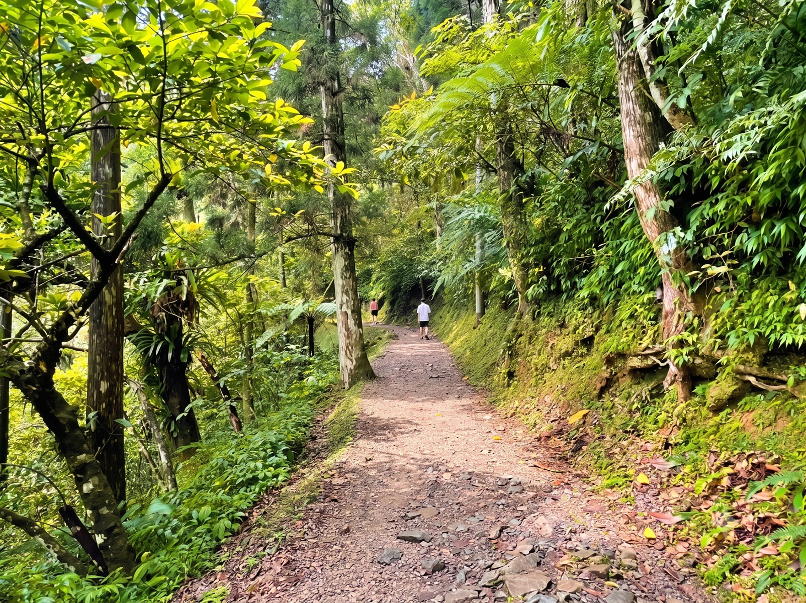 很多人來過都稱讚，環境美又平價，一張入園票80元，有人每天登山！