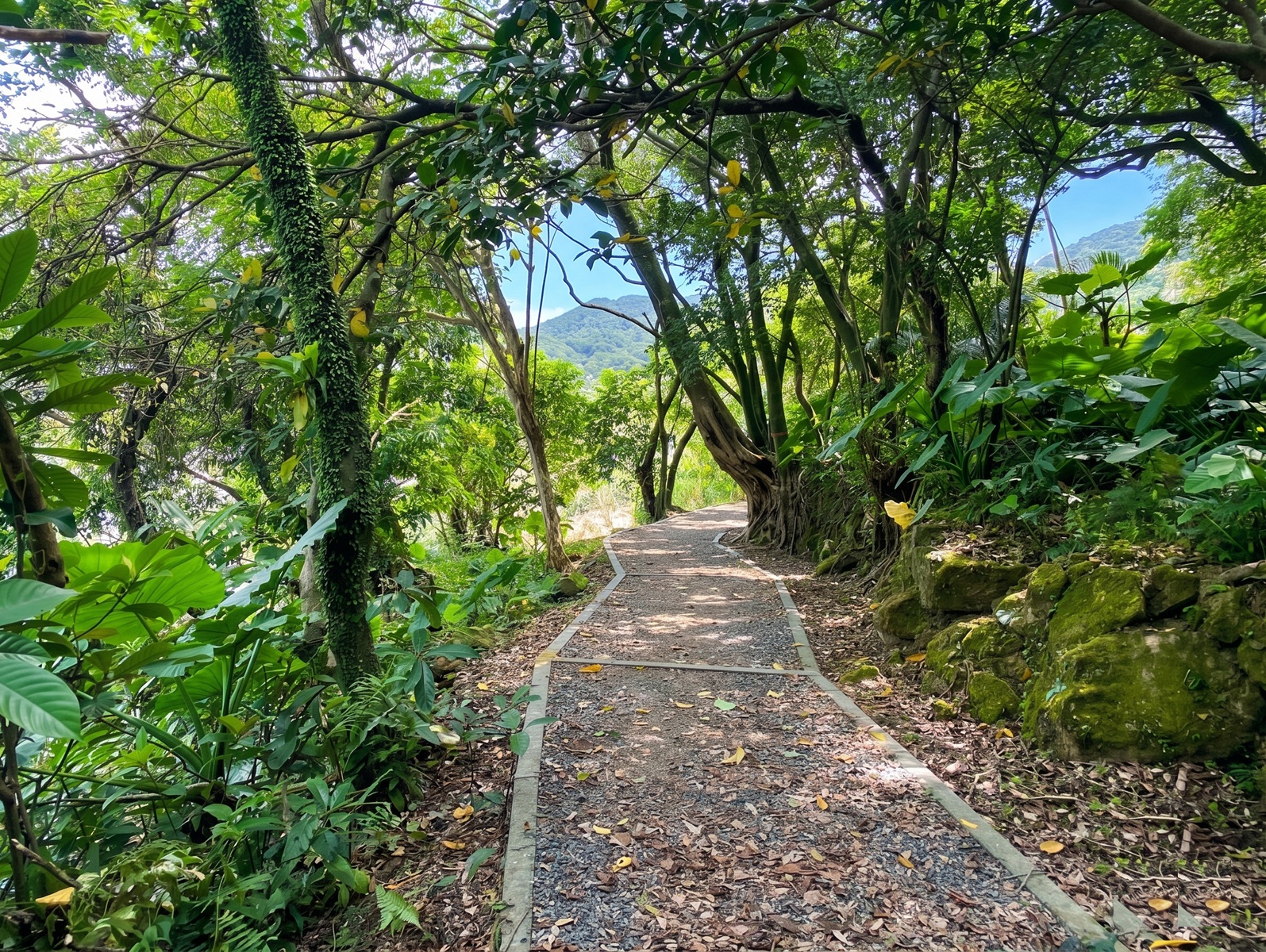 瑞芳運動公園