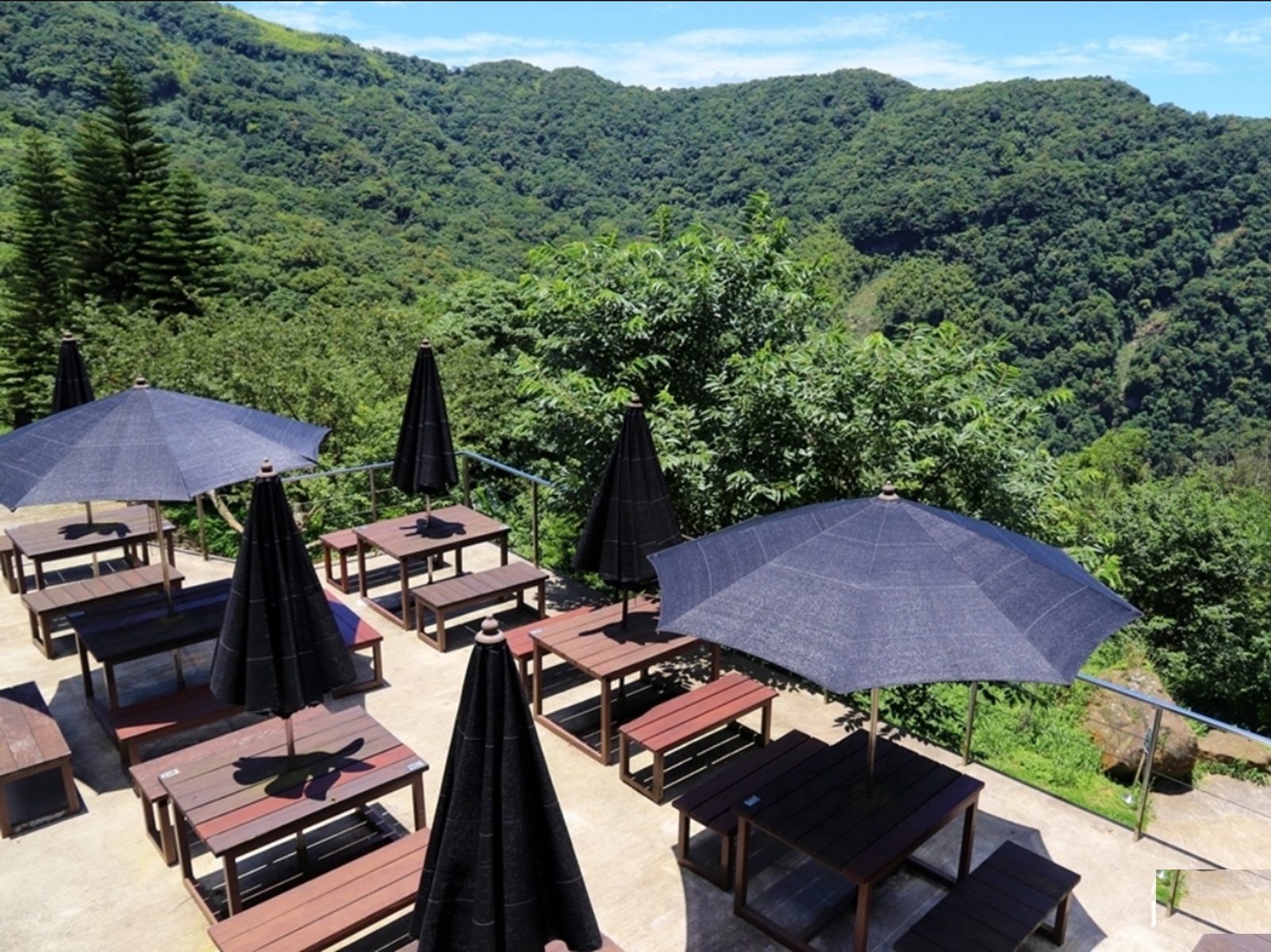 禾煦熊空休閒農場｜遠的要命山頂茶園咖啡館路況資訊總整理