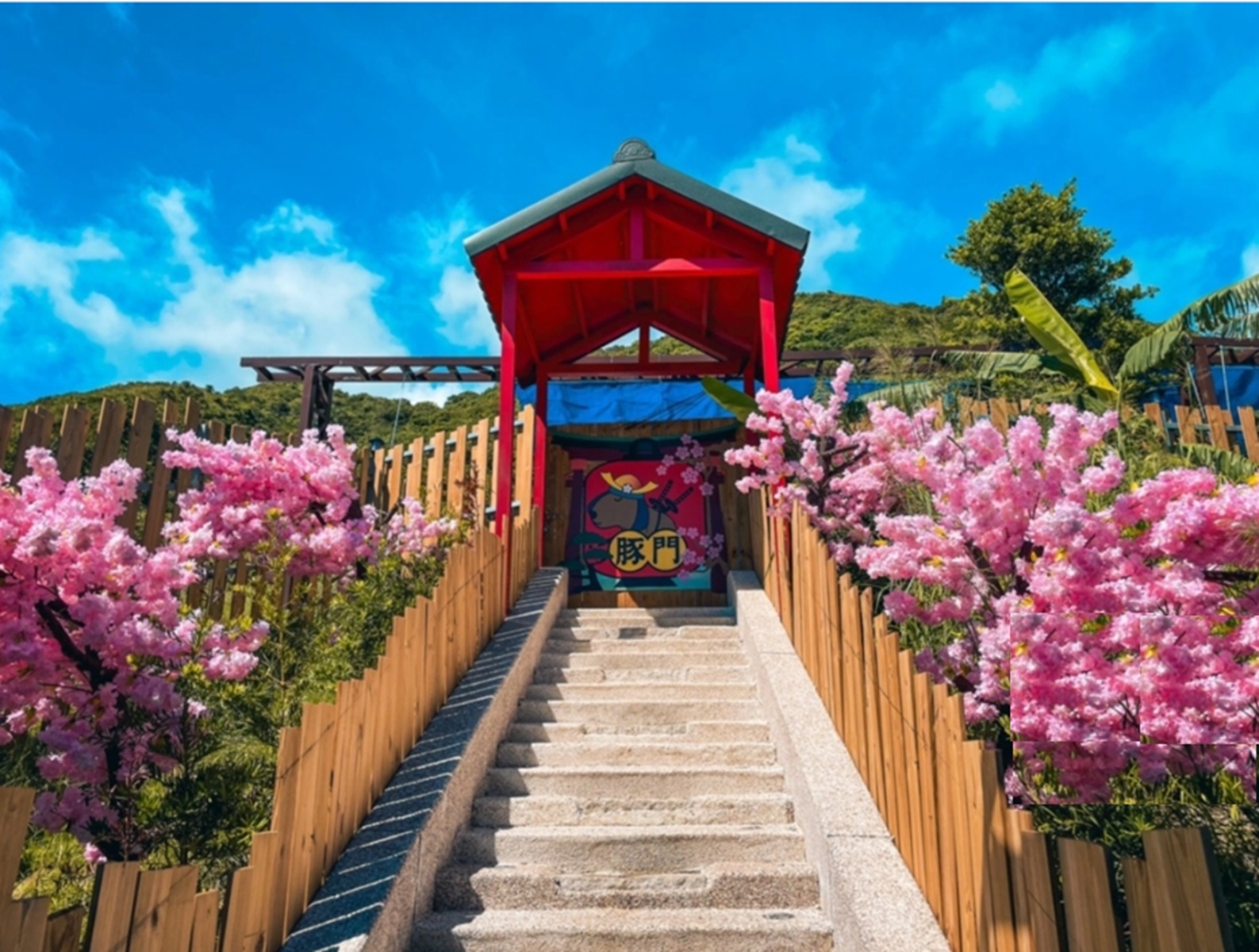 花蓮【月崖灣親子農場】一邊看海一邊餵水豚吃飯真好玩