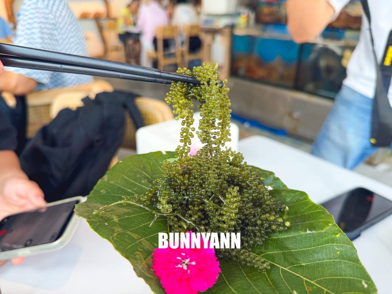 在地人私房懸崖海產店，是吃鮮甜龍蝦有夠爽，招牌馬告鮑魚同樣是強推款