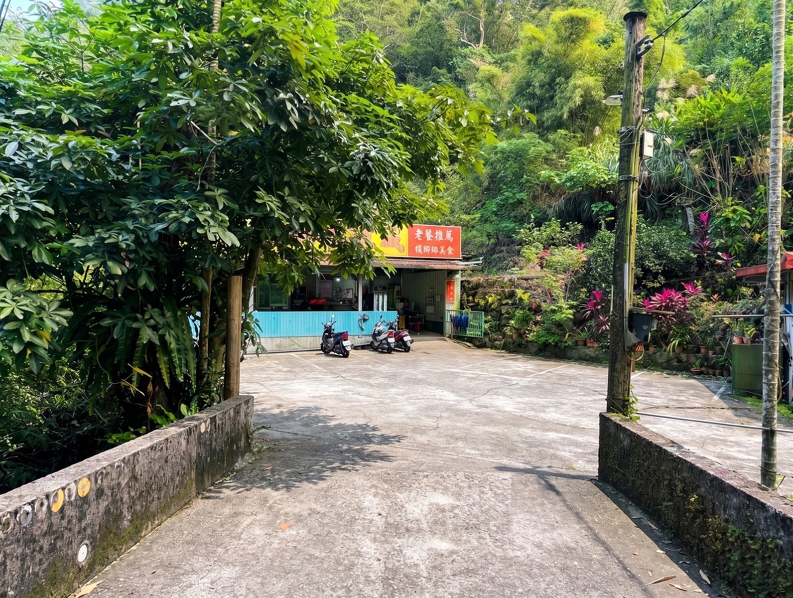 只有登山客才知道，每道菜100元起的放山土雞店家，山菜更是招牌主打