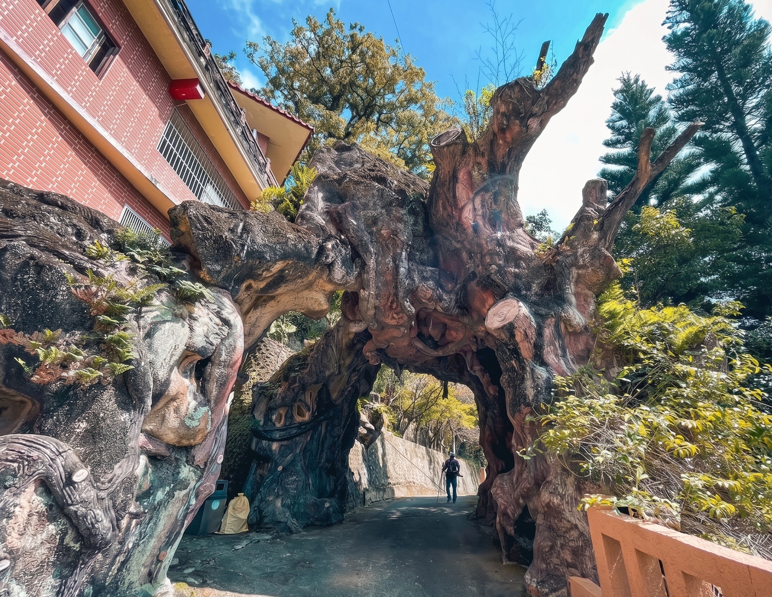 很少人知道，探訪古廟山林步道，全程平緩好走不爆汗，招牌神祕樹洞等你解鎖