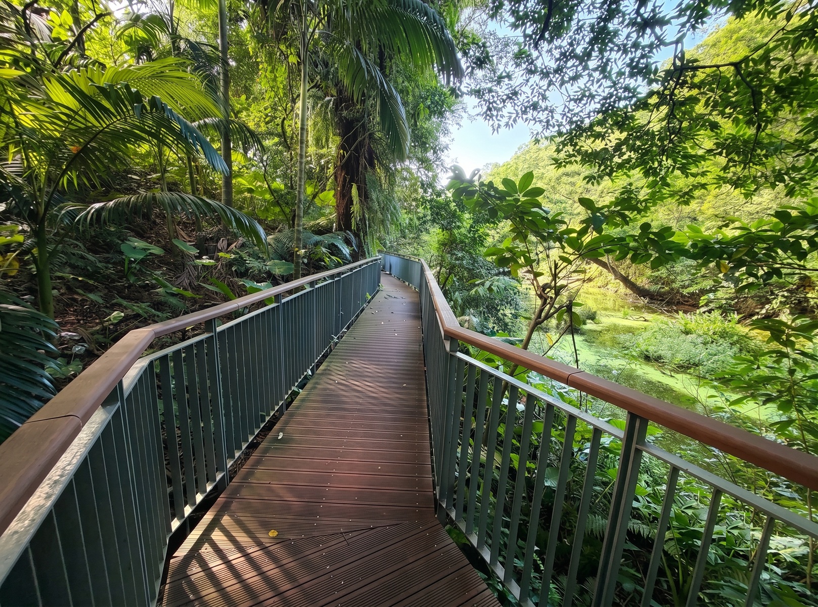 木柵公園