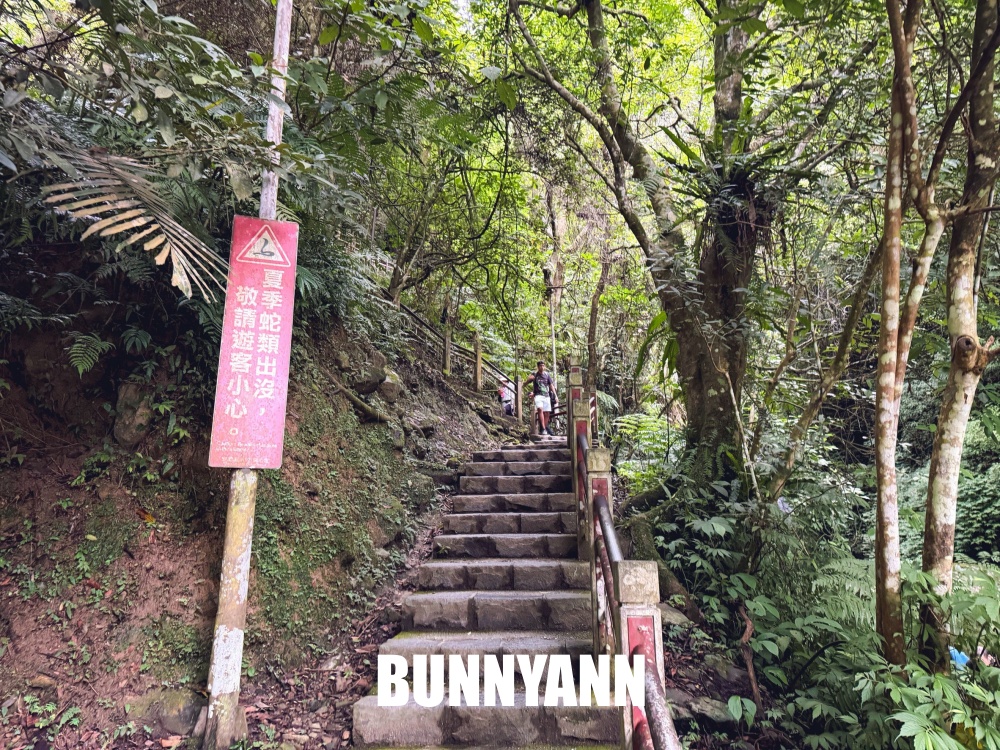 礁溪這瀑布群超低調，三層瀑布步道竟然平坦好走，沿途山景又清幽好拍