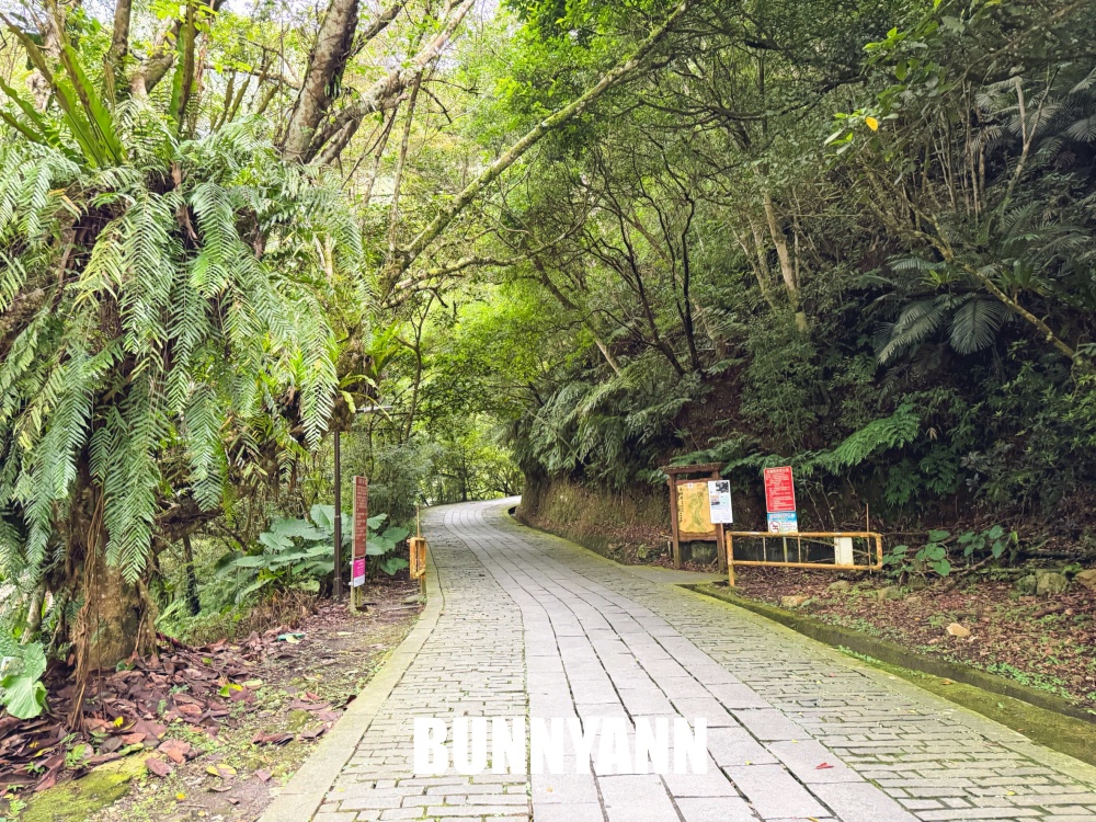 礁溪這瀑布群超低調，三層瀑布步道竟然平坦好走，沿途山景又清幽好拍
