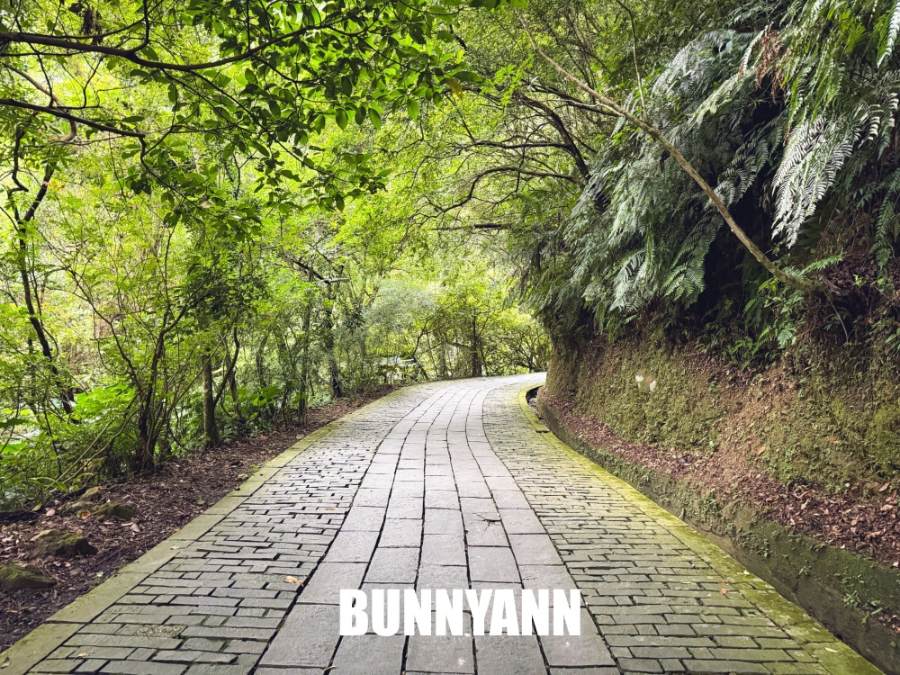 礁溪這瀑布群超低調，三層瀑布步道竟然平坦好走，沿途山景又清幽好拍