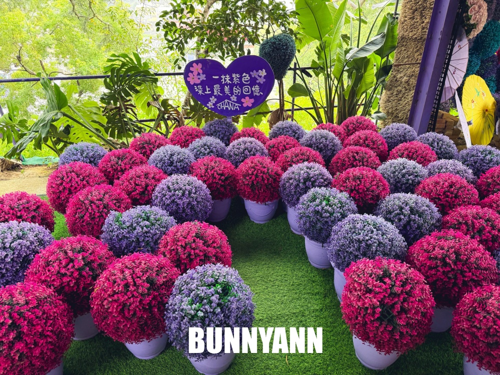 一半的人不知道,是紫色景觀餐廳,低消兩百能待整天,全紫鳥居花房都美麗 一半的人不知道,是紫色景觀餐廳,低消兩百能待整天,全紫鳥居花房都美麗