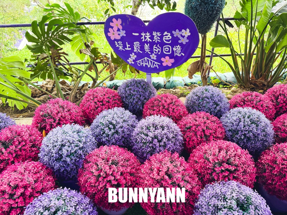 一半的人不知道,是紫色景觀餐廳,低消兩百能待整天,全紫鳥居花房都美麗 一半的人不知道,是紫色景觀餐廳,低消兩百能待整天,全紫鳥居花房都美麗