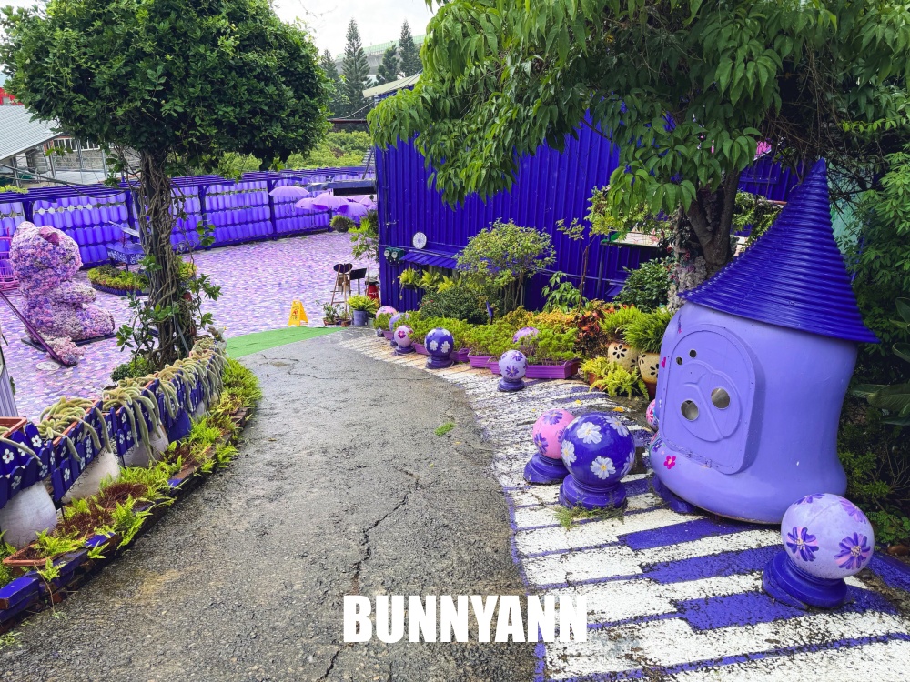 一半的人不知道,是紫色景觀餐廳,低消兩百能待整天,全紫鳥居花房都美麗 一半的人不知道,是紫色景觀餐廳,低消兩百能待整天,全紫鳥居花房都美麗