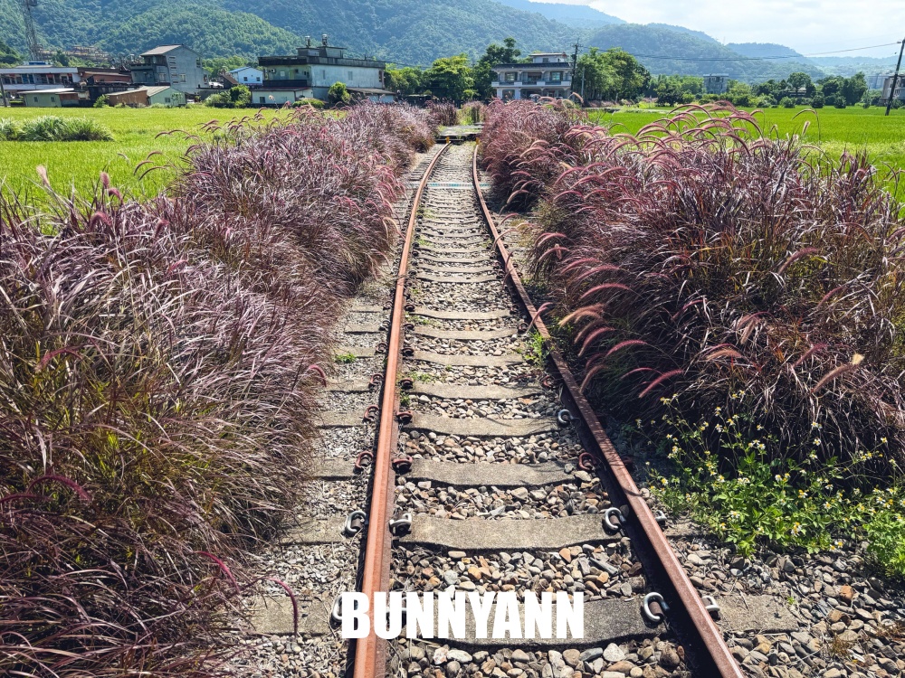 很多人不知道，卻是無動力台車，免門票還不限次數，沿途田野風景也是主打