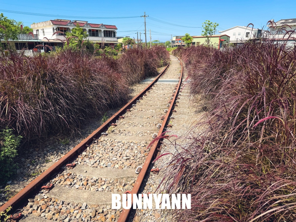 很多人不知道，卻是無動力台車，免門票還不限次數，沿途田野風景也是主打