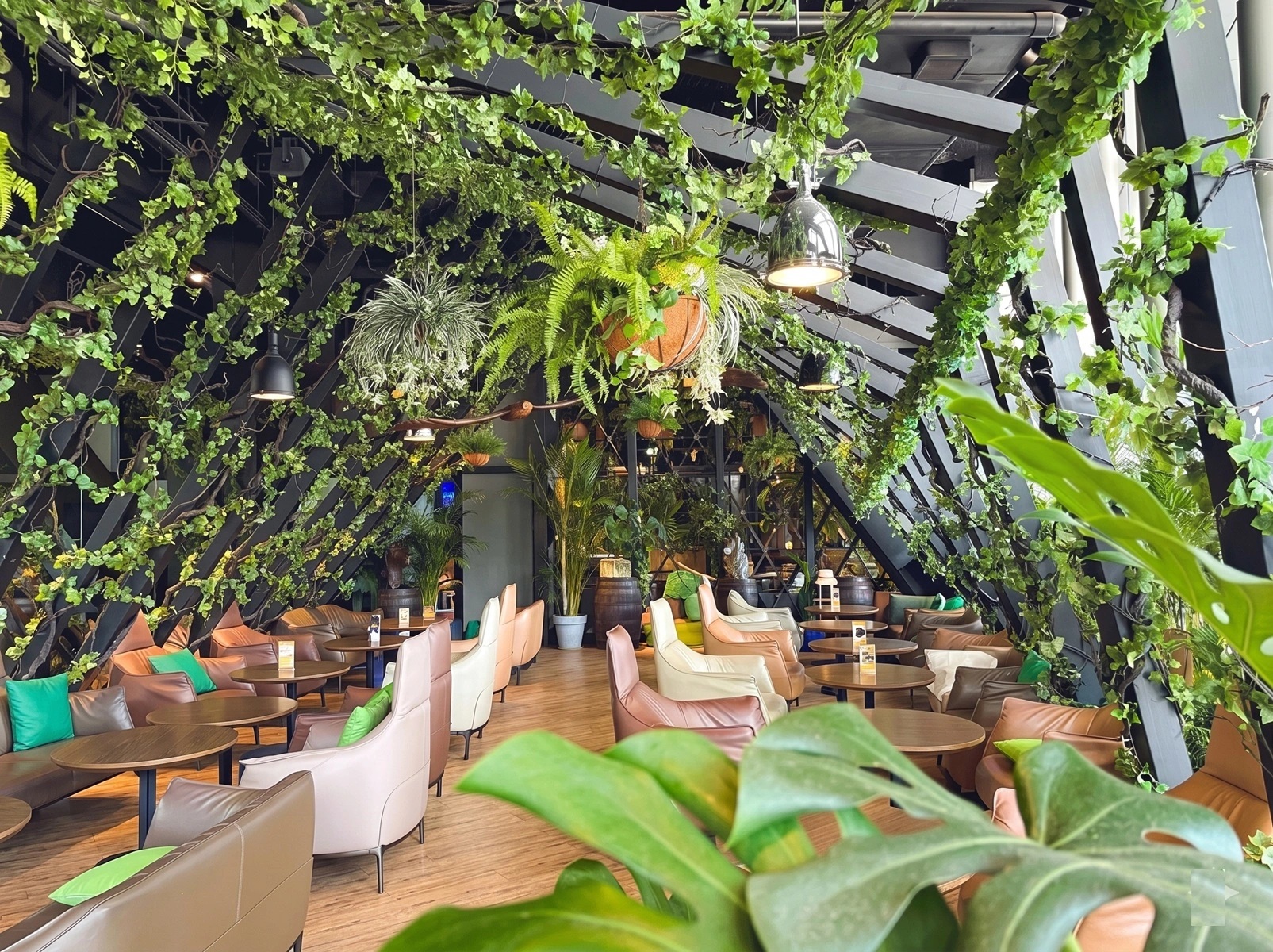 D'or Cafe