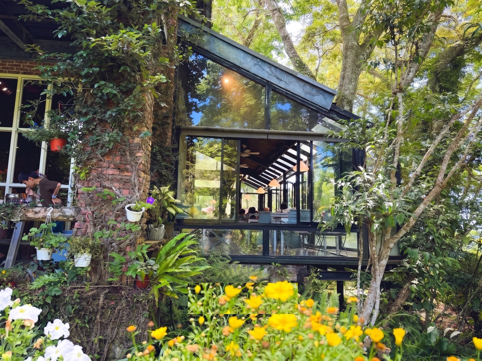 六號花園